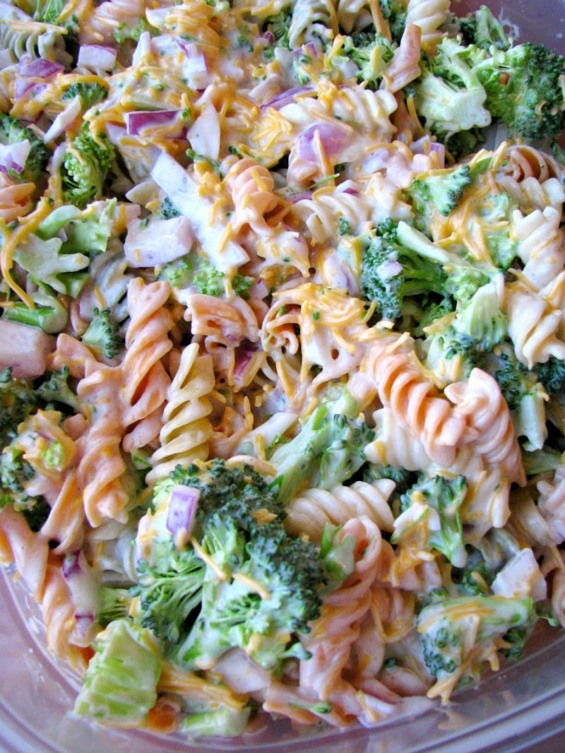 This copycat version of Walmart's Broccoli Cheddar Pasta Salad tastes just like the original! This broccoli salad will quickly become a family favorite to make time and time again. 