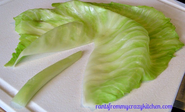 Cabbage-Leaf