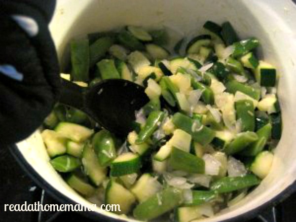 Cooked-Zuccini-Blend
