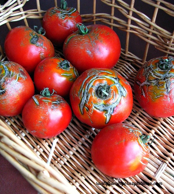 Blemished-Tomatoes