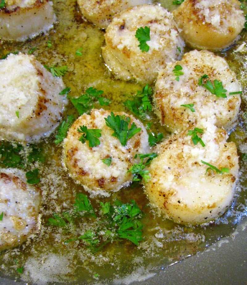 Melt in your mouth Browned Butter Garlic Parmesan Scallops, quick to make, fancy enough for a special occasion yet simple enough for a weeknight dinner.