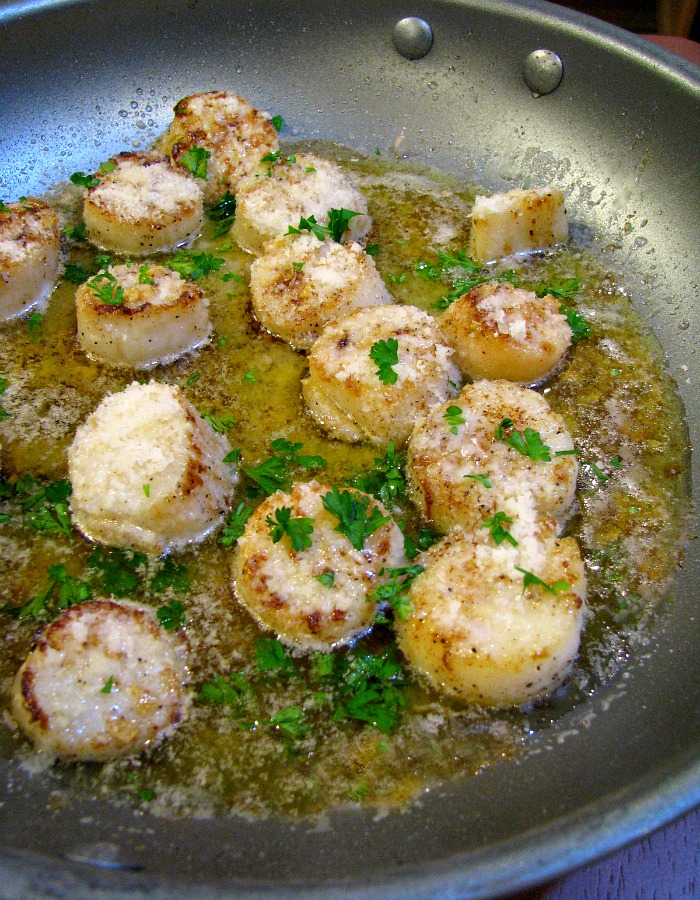 Melt in your mouth Browned Butter Garlic Parmesan Scallops, quick to make, fancy enough for a special occasion yet simple enough for a weeknight dinner.