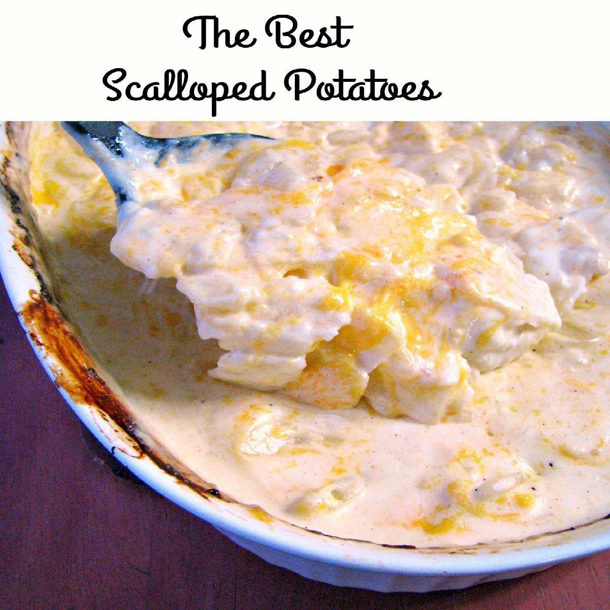 The Best Scalloped Potatoes Ever! - Rants From My Crazy Kitchen