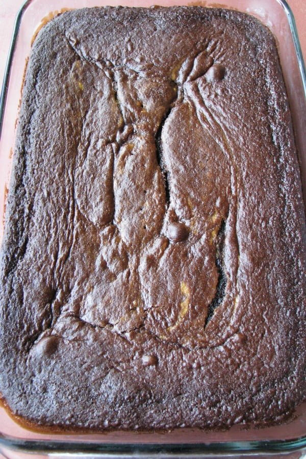 Photo of baked Chocolate Cream Cheese Pumpkin Cake 