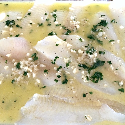 Photo of unbaked flounder in a glass baking dish with melted butter garlic and parsley 