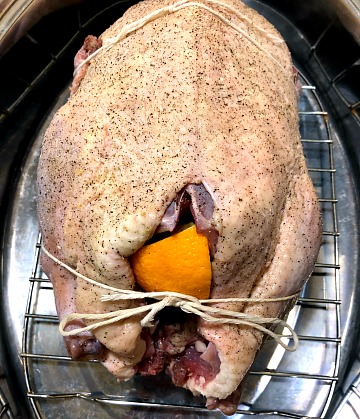 Photo of a raw whole duck stuffed with orange slices and garlic with the legs tied in a roasted pan 