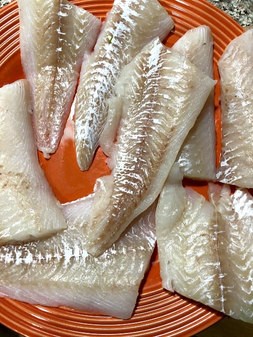 photo of uncooked haddock fillets on an orange plate